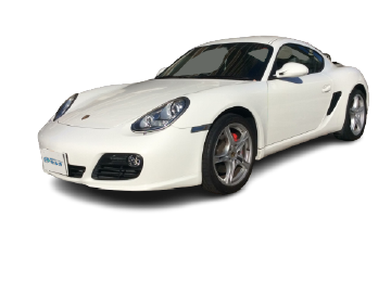 /images/lp08/pattern1/cayman.webp