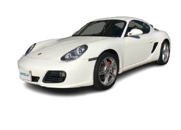 /images/lp08/pattern1/cayman.webp