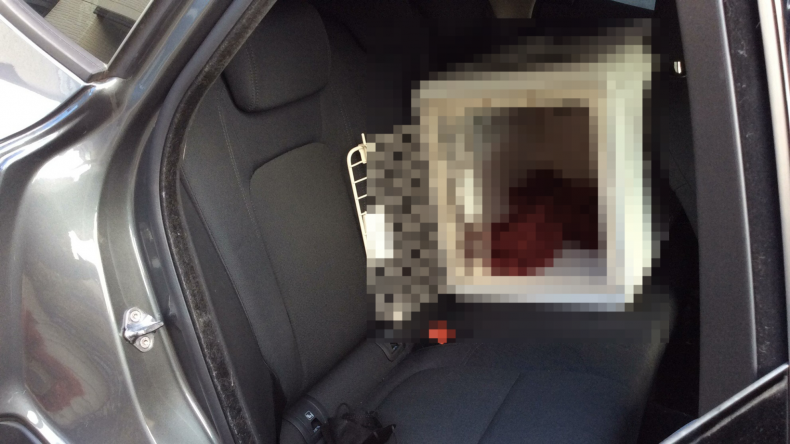 内装後方シート