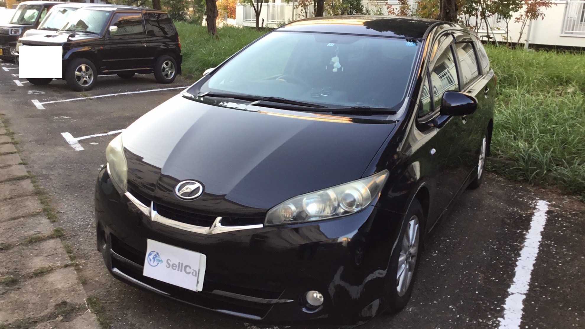 トヨタ ウィッシュの売買実績画像