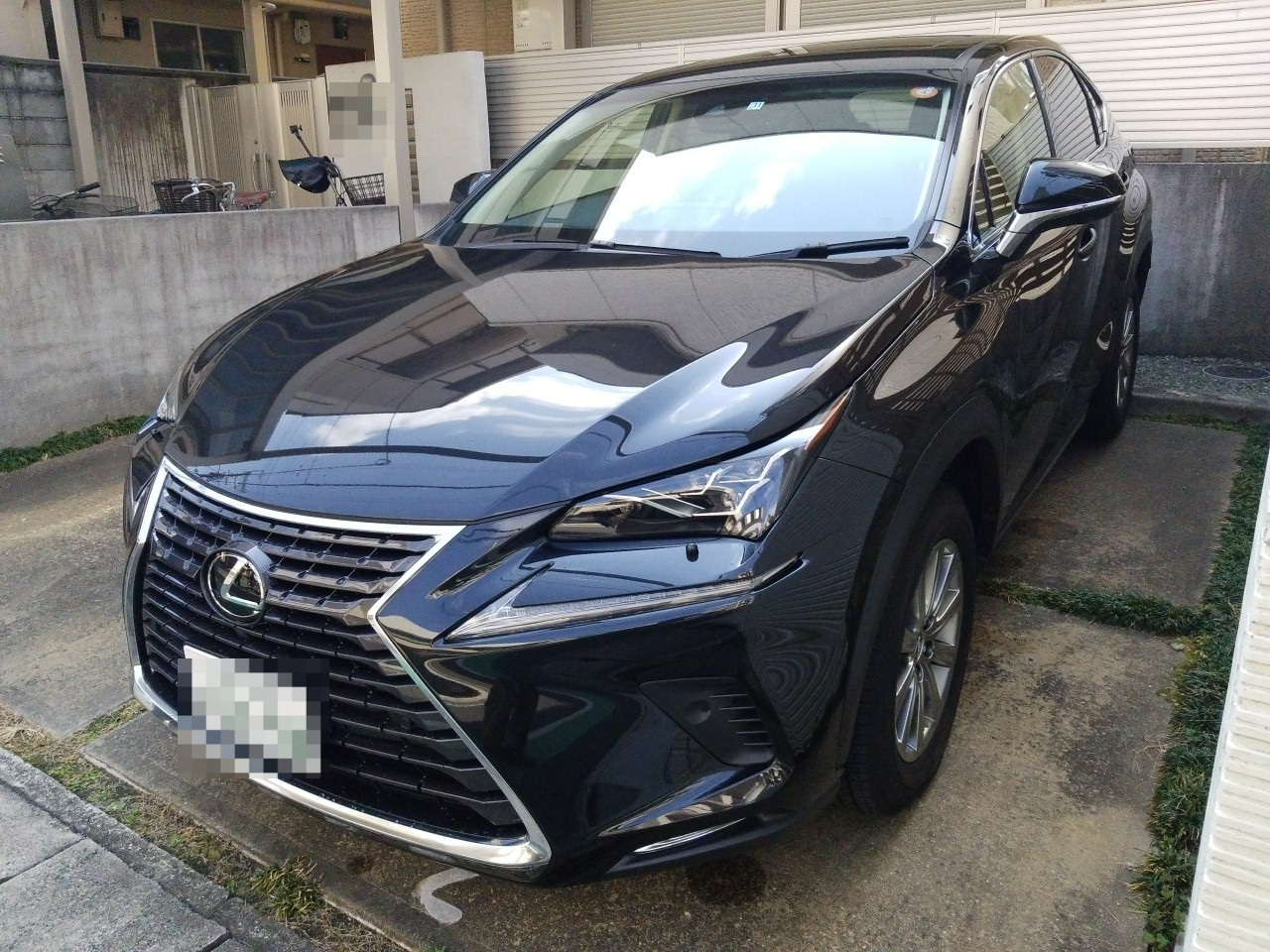 レクサス ＮＸの売買実績画像