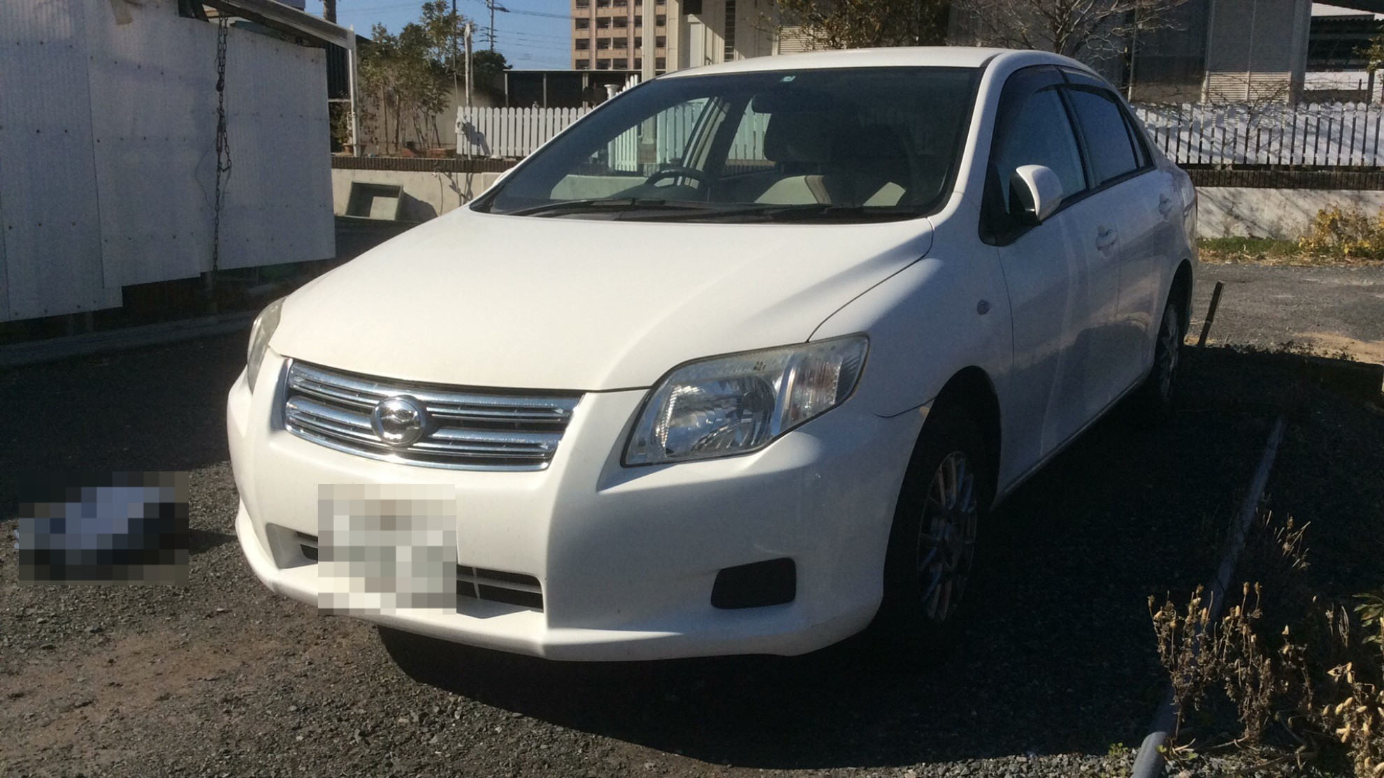 トヨタ カローラアクシオの売買実績画像