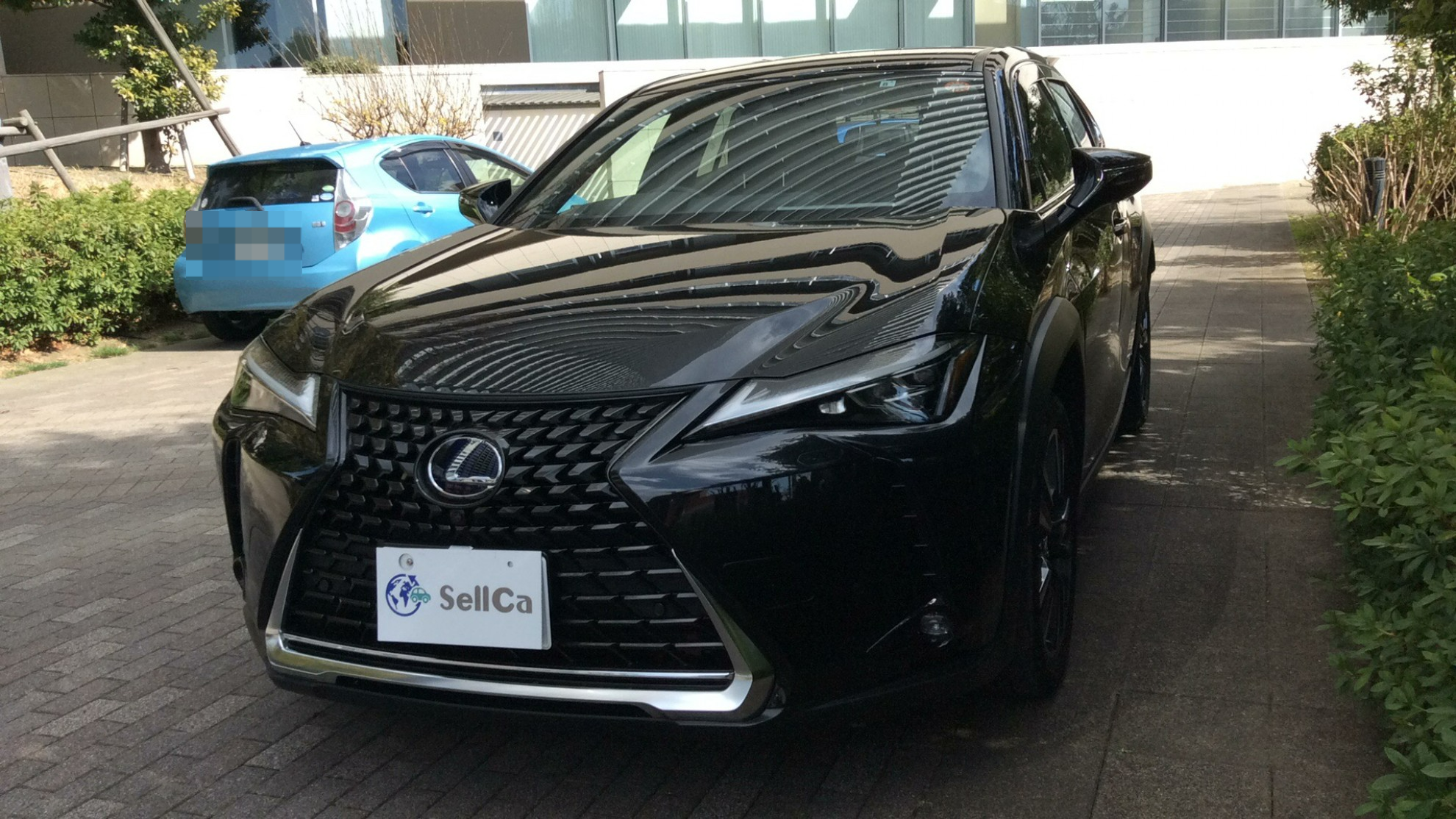 レクサス ＵＸの売買実績画像