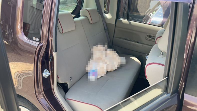 内装後方シート