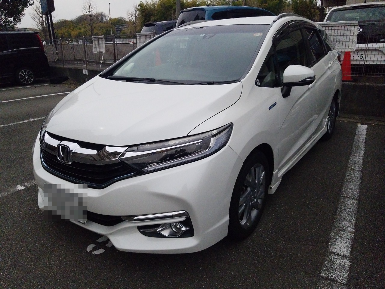 ホンダ シャトルの売買実績画像