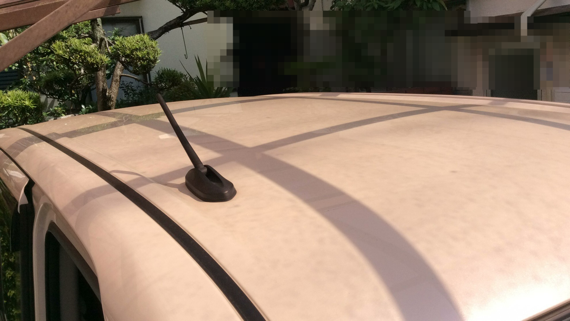 正面ルーフ