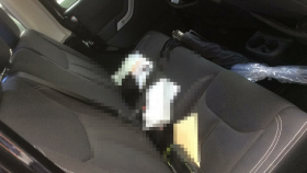 内装後方シート