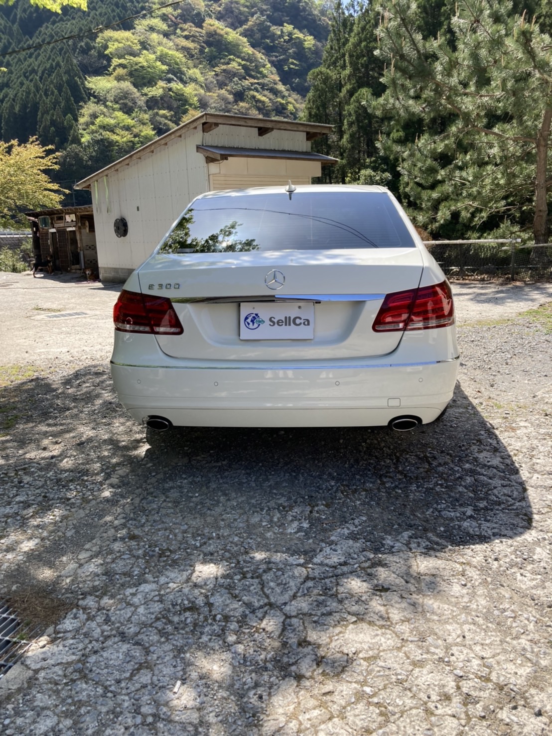 外装後方