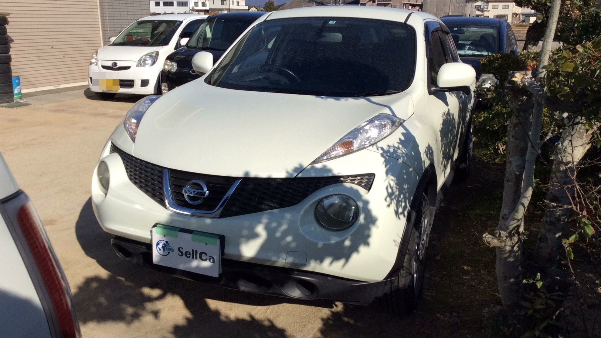 日産 ジュークの売買実績画像