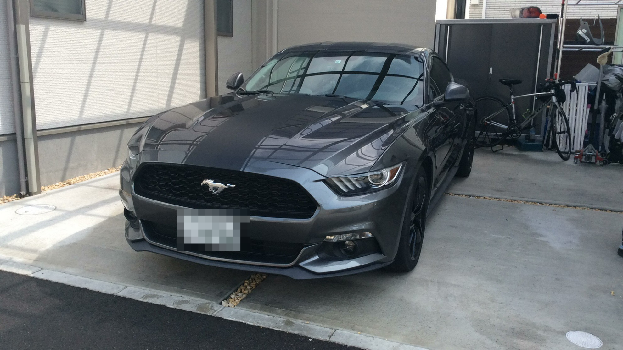 フォード マスタングの売買実績画像