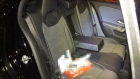 内装後方シート