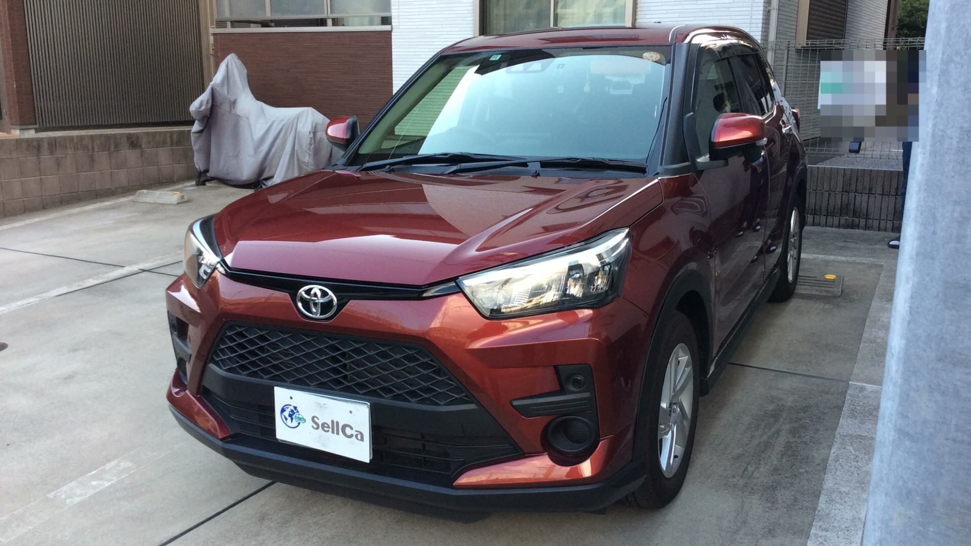 トヨタ ライズの売買実績画像