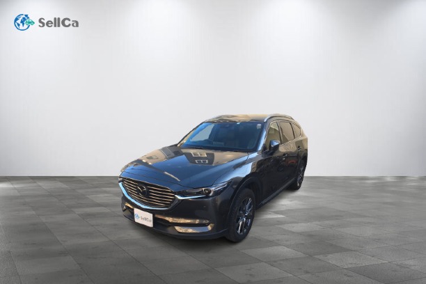 ＣＸ－８