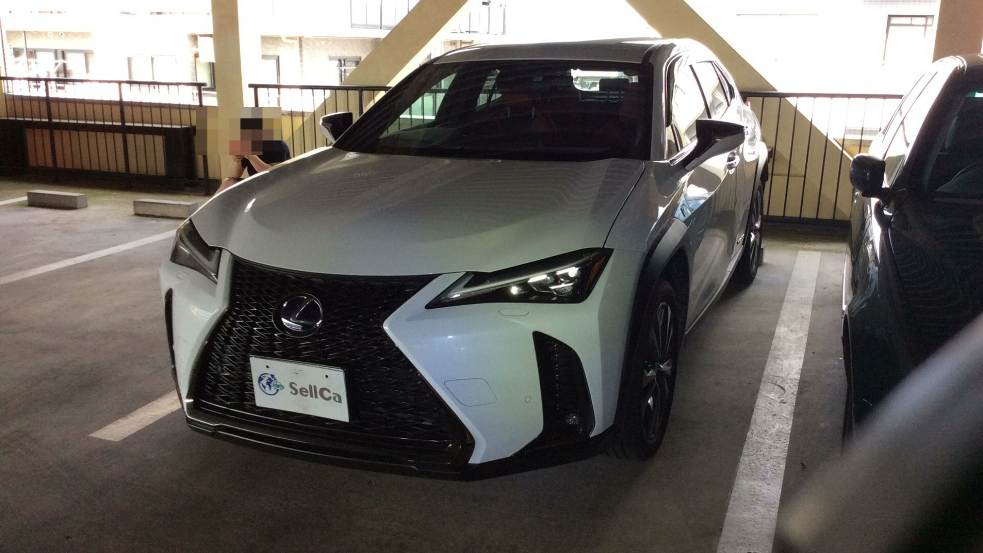 レクサス UXの売買実績画像