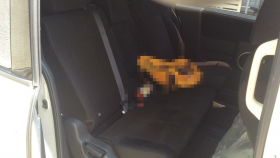 内装後方シート