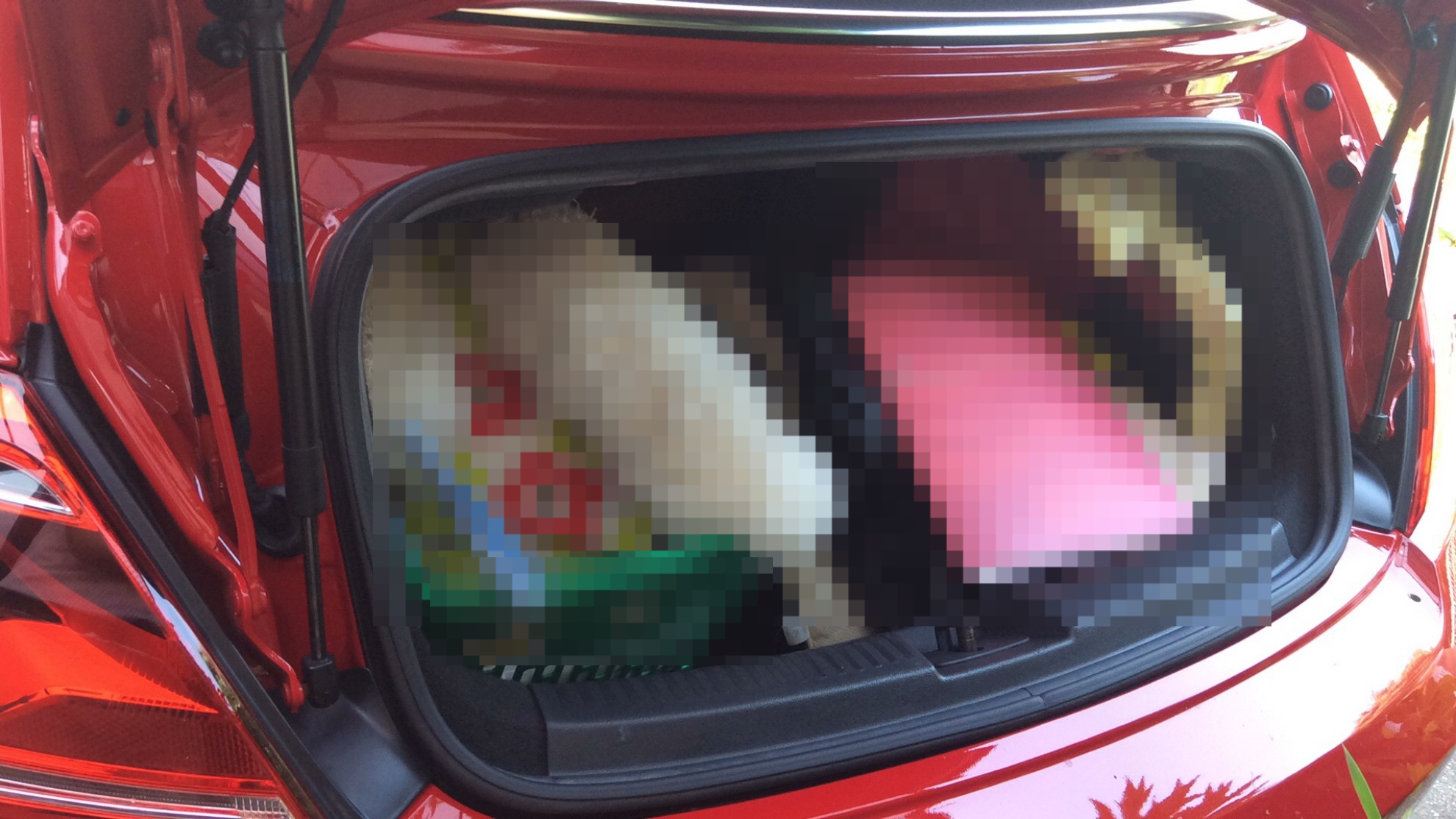 内装トランク