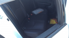 内装後方シート