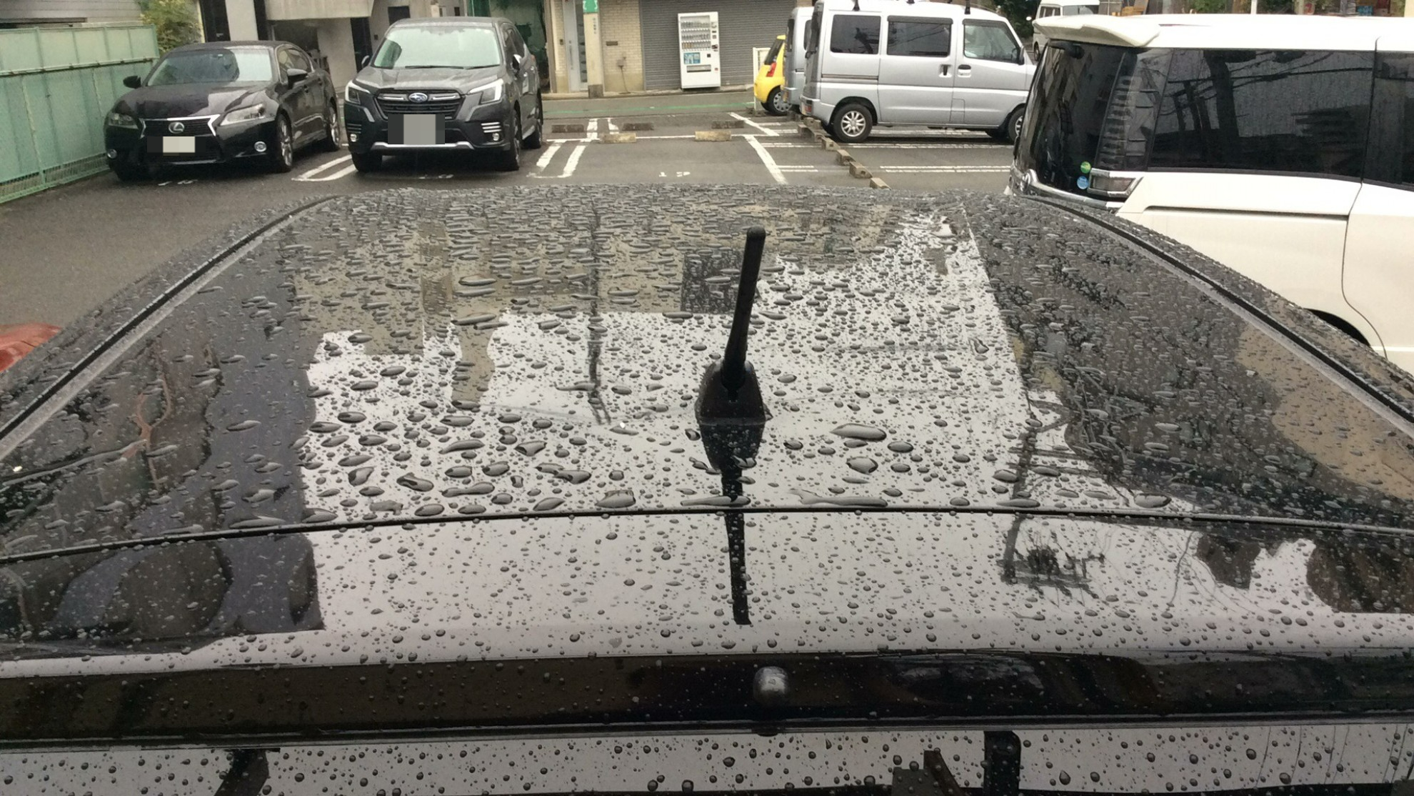正面ルーフ