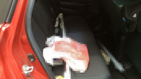 内装後方シート