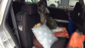 内装後方シート