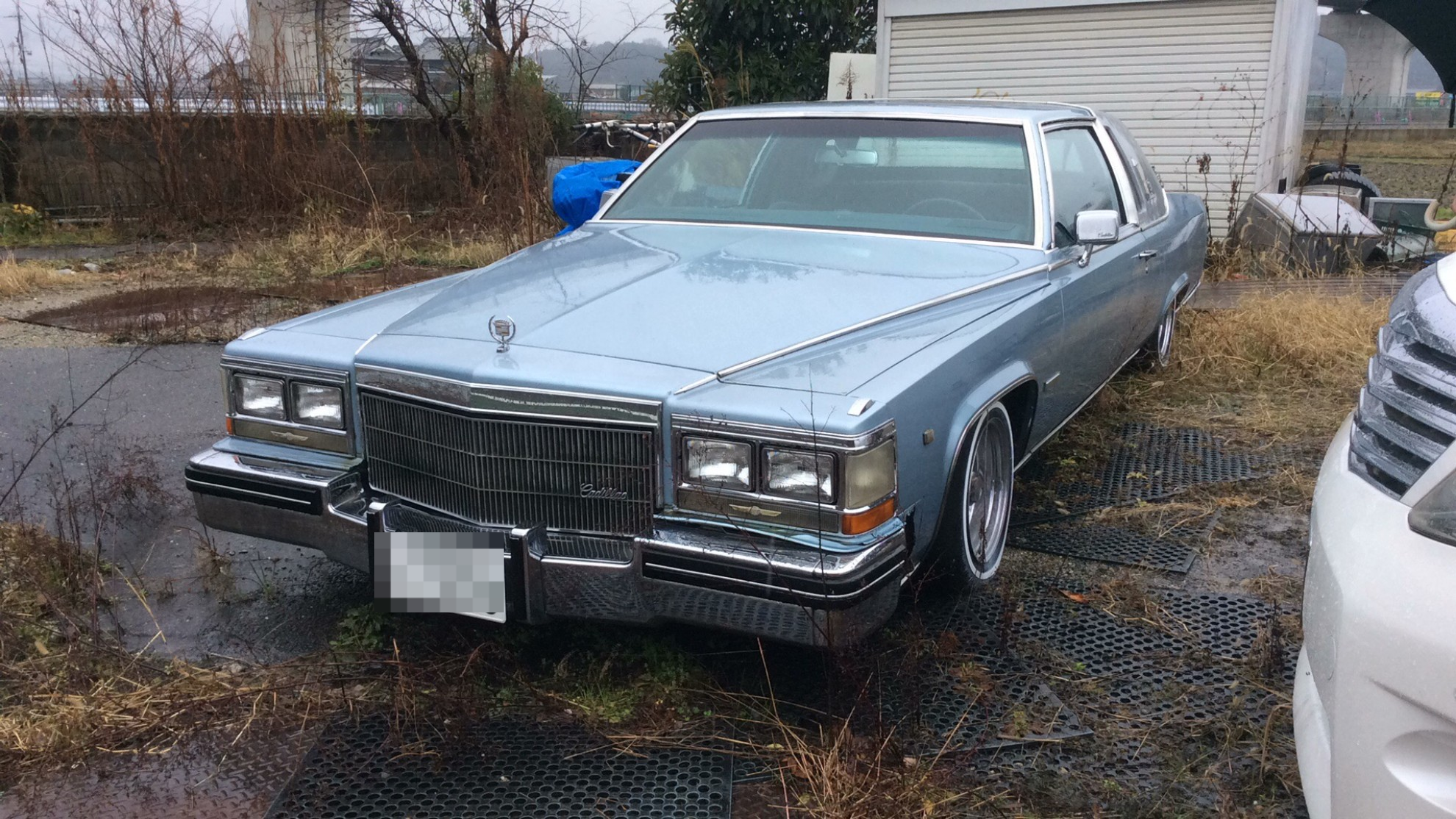 キャデラック キャデラックフリートウッドの売買実績画像