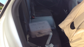 内装後方シート