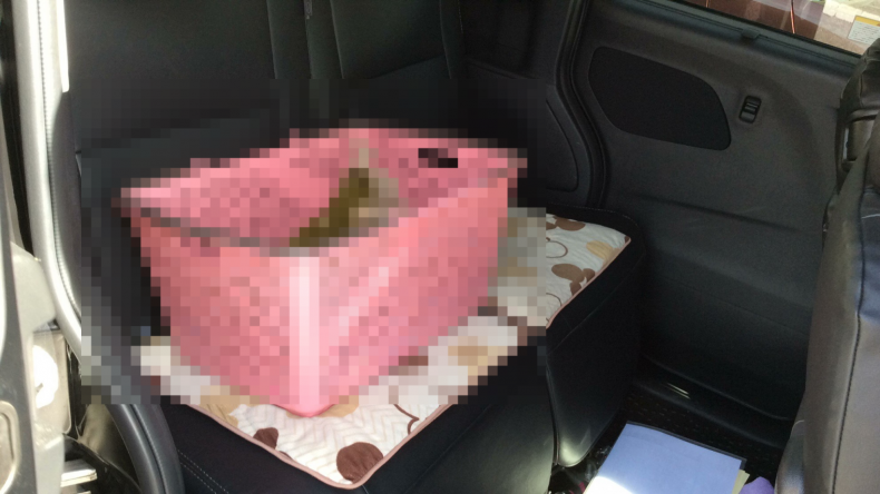 内装後方シート