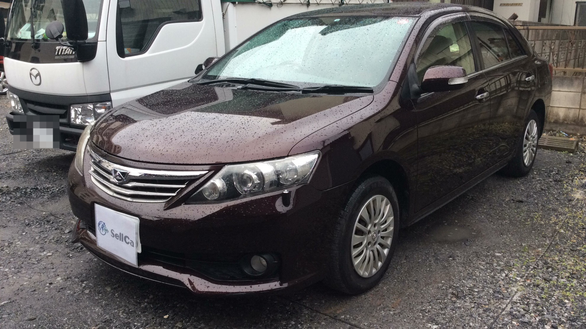 トヨタ アリオンの売買実績画像