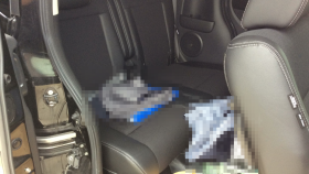 内装後方シート