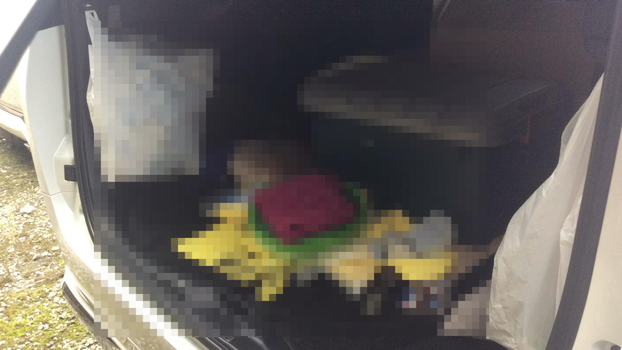 内装トランク