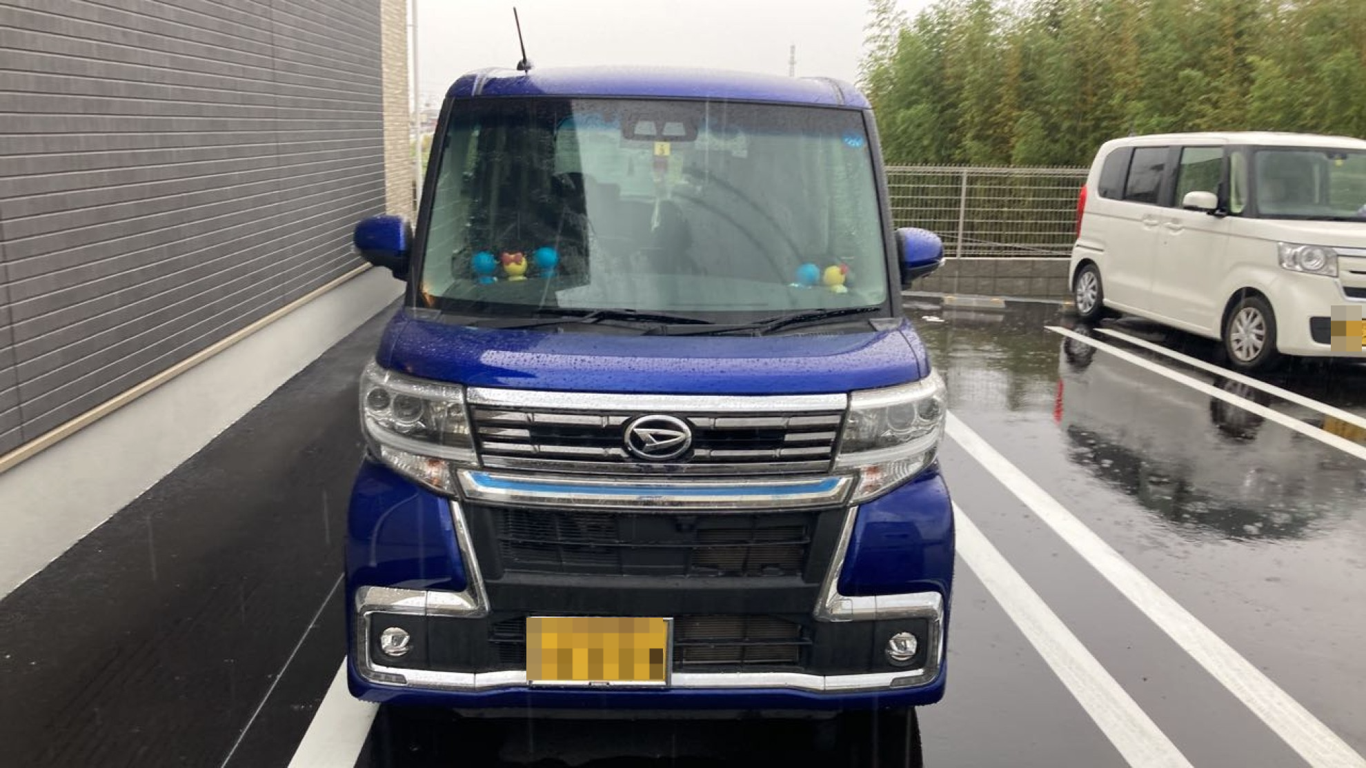 外装前方