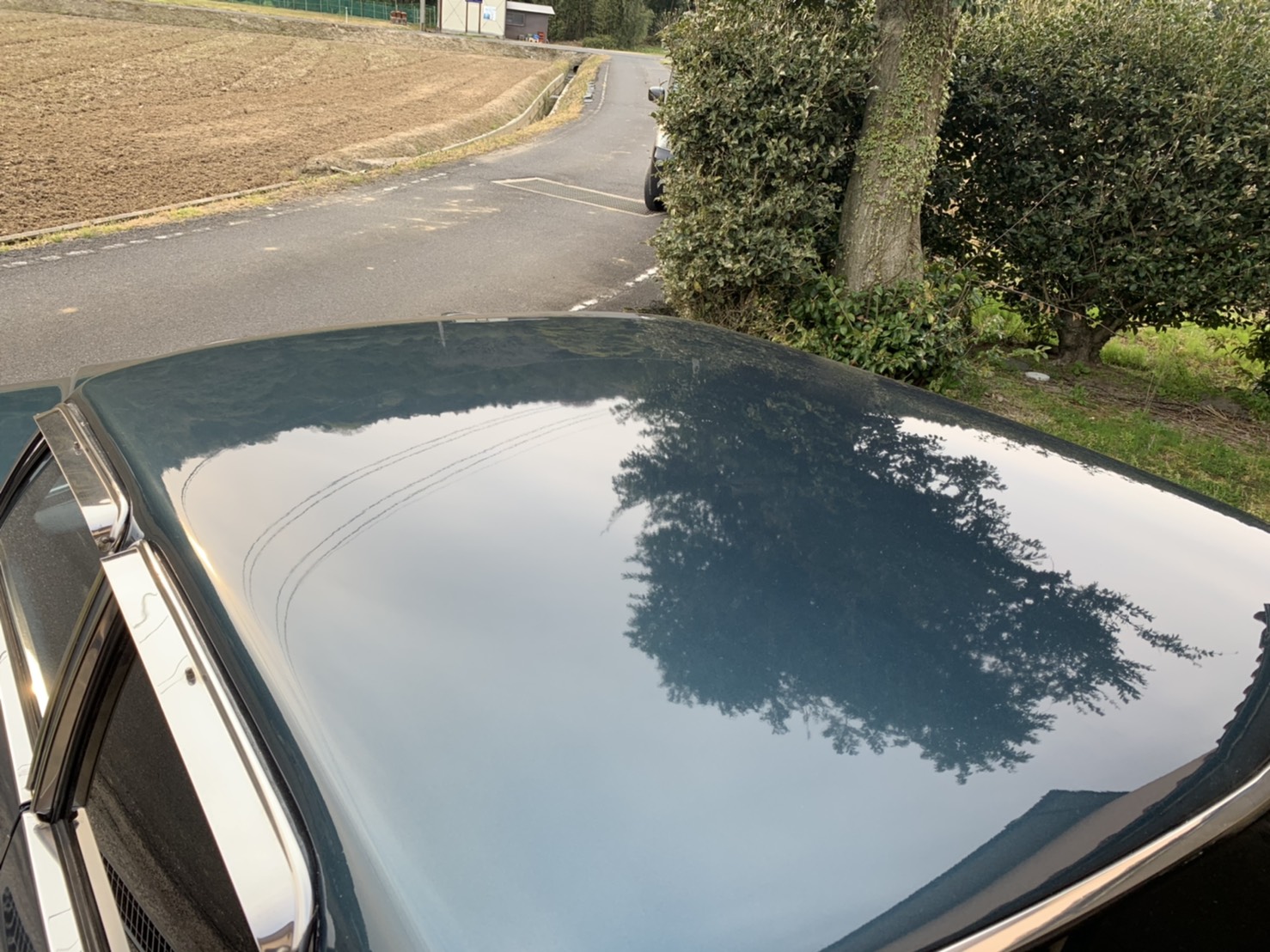 正面ルーフ