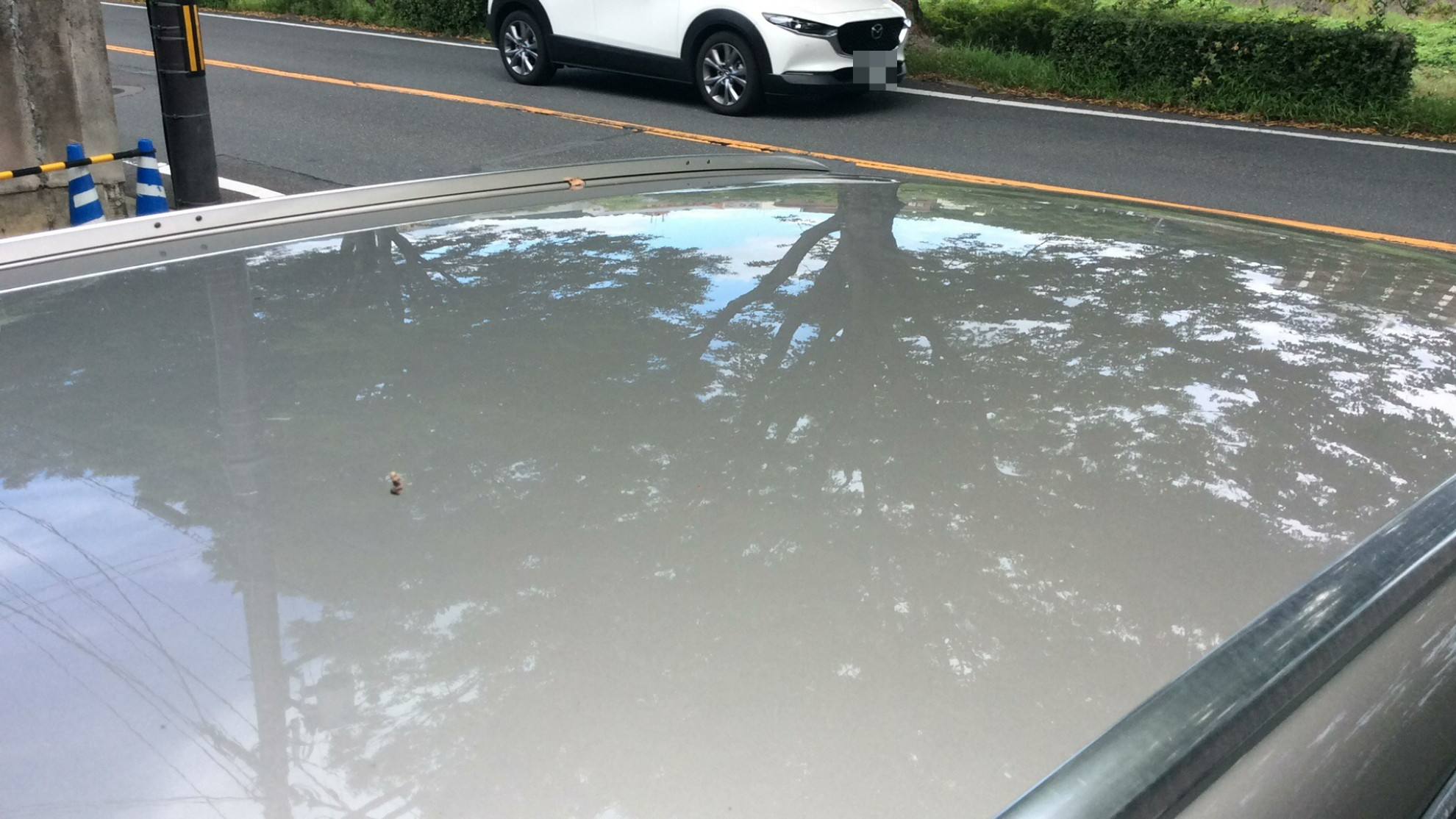 正面ルーフ