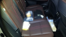 内装後方シート