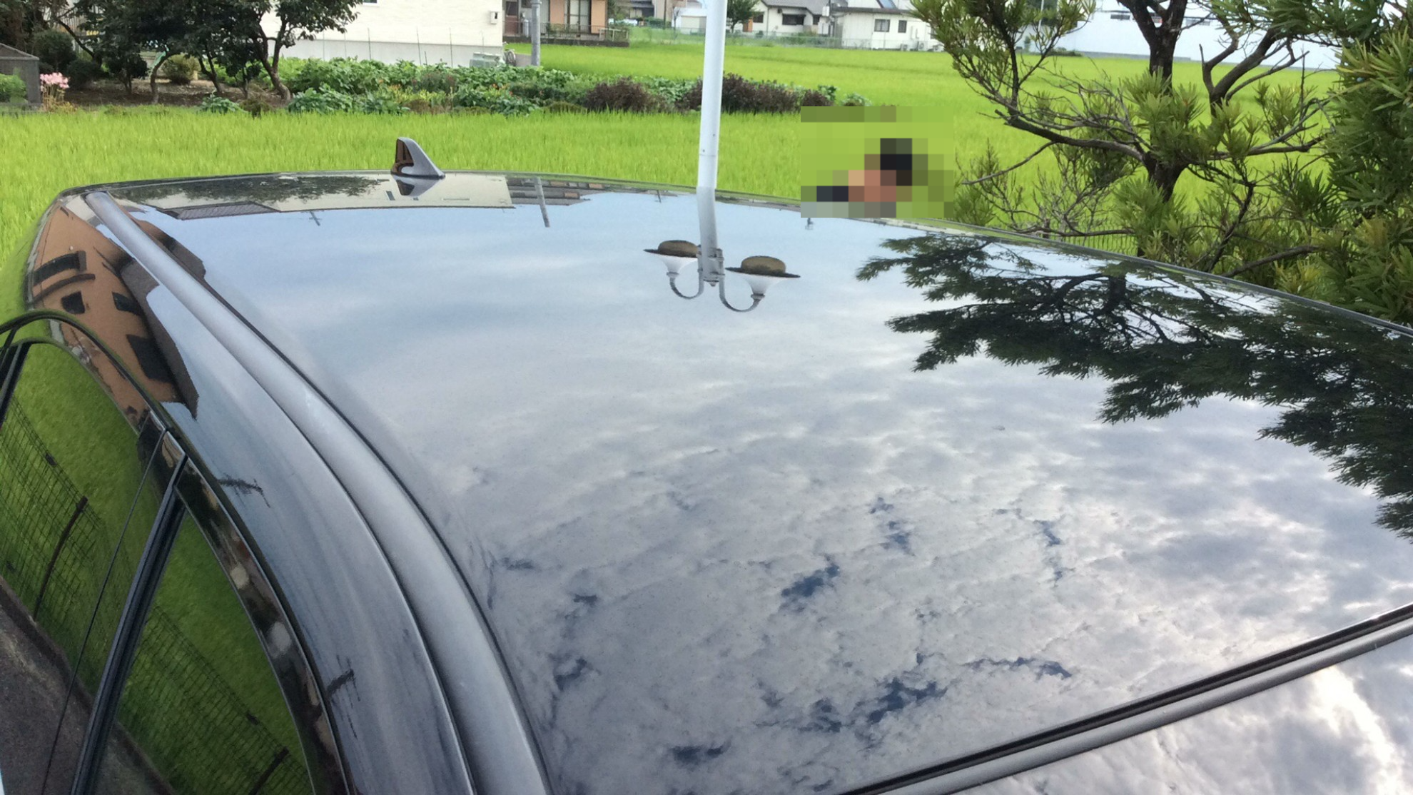 正面ルーフ