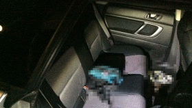 内装後方シート