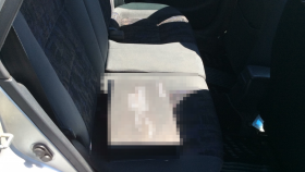 内装後方シート