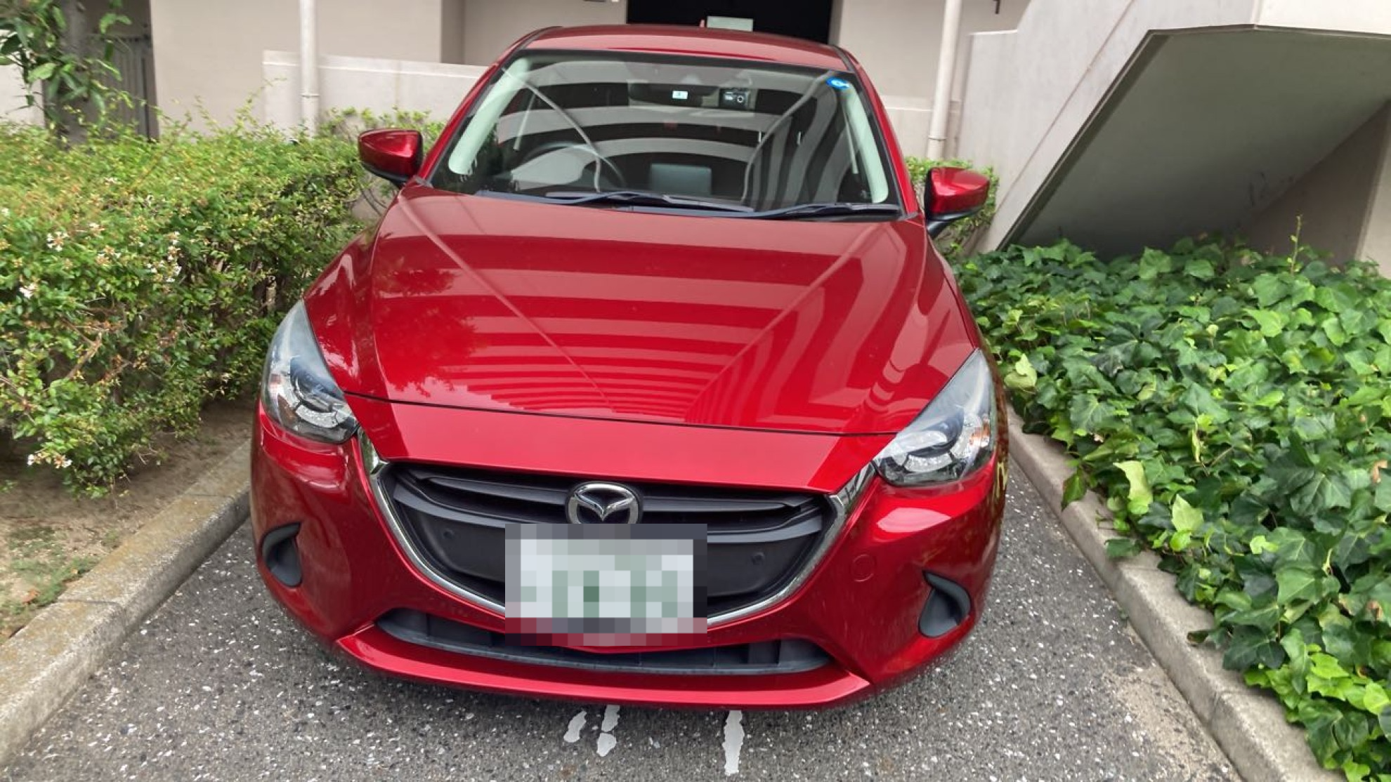 外装前方