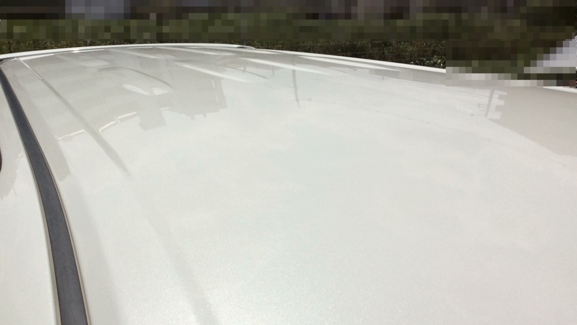 正面ルーフ