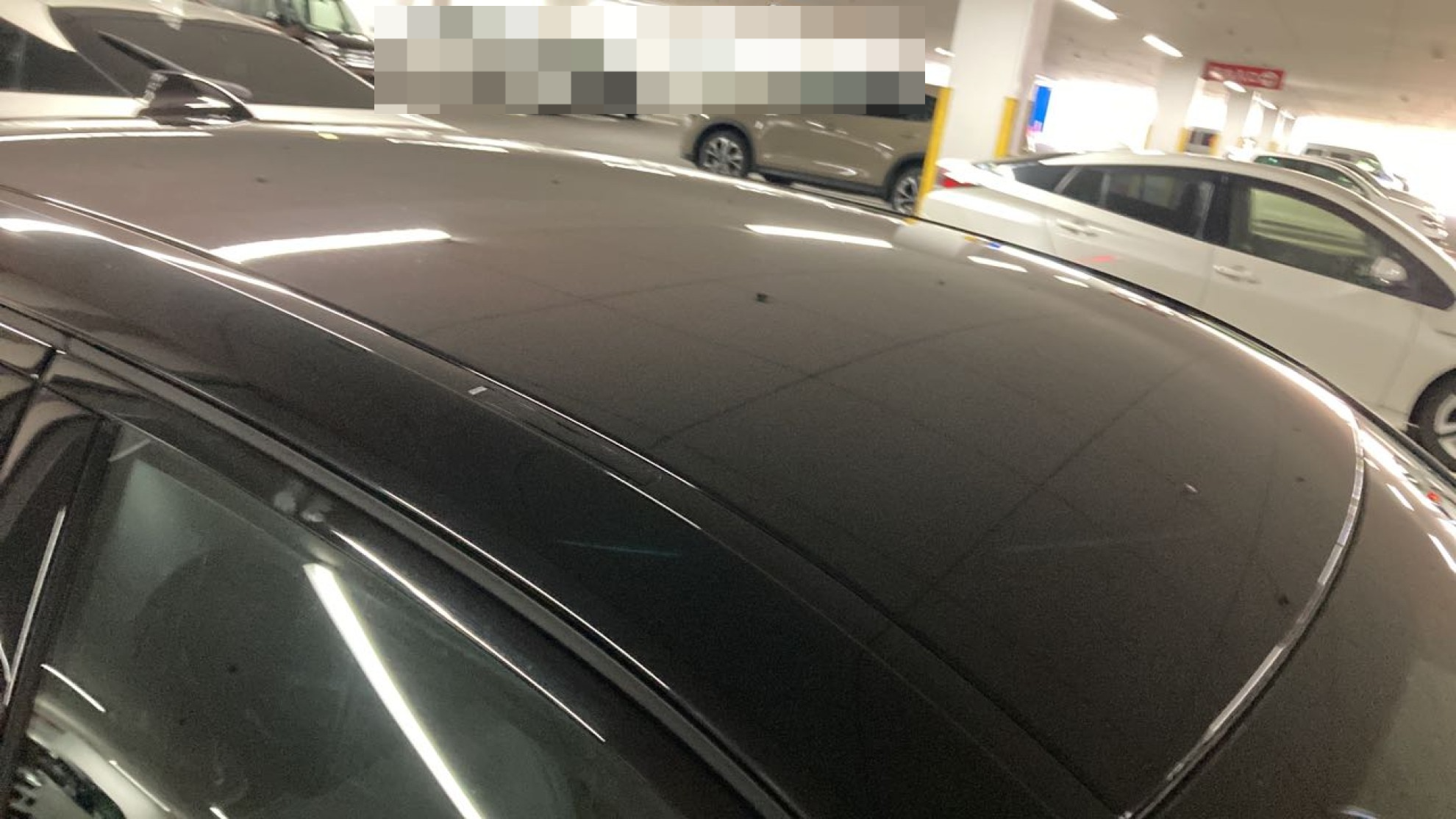 正面ルーフ