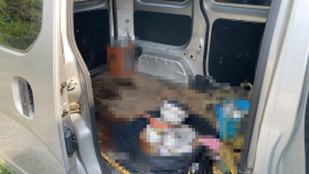 内装後方シート