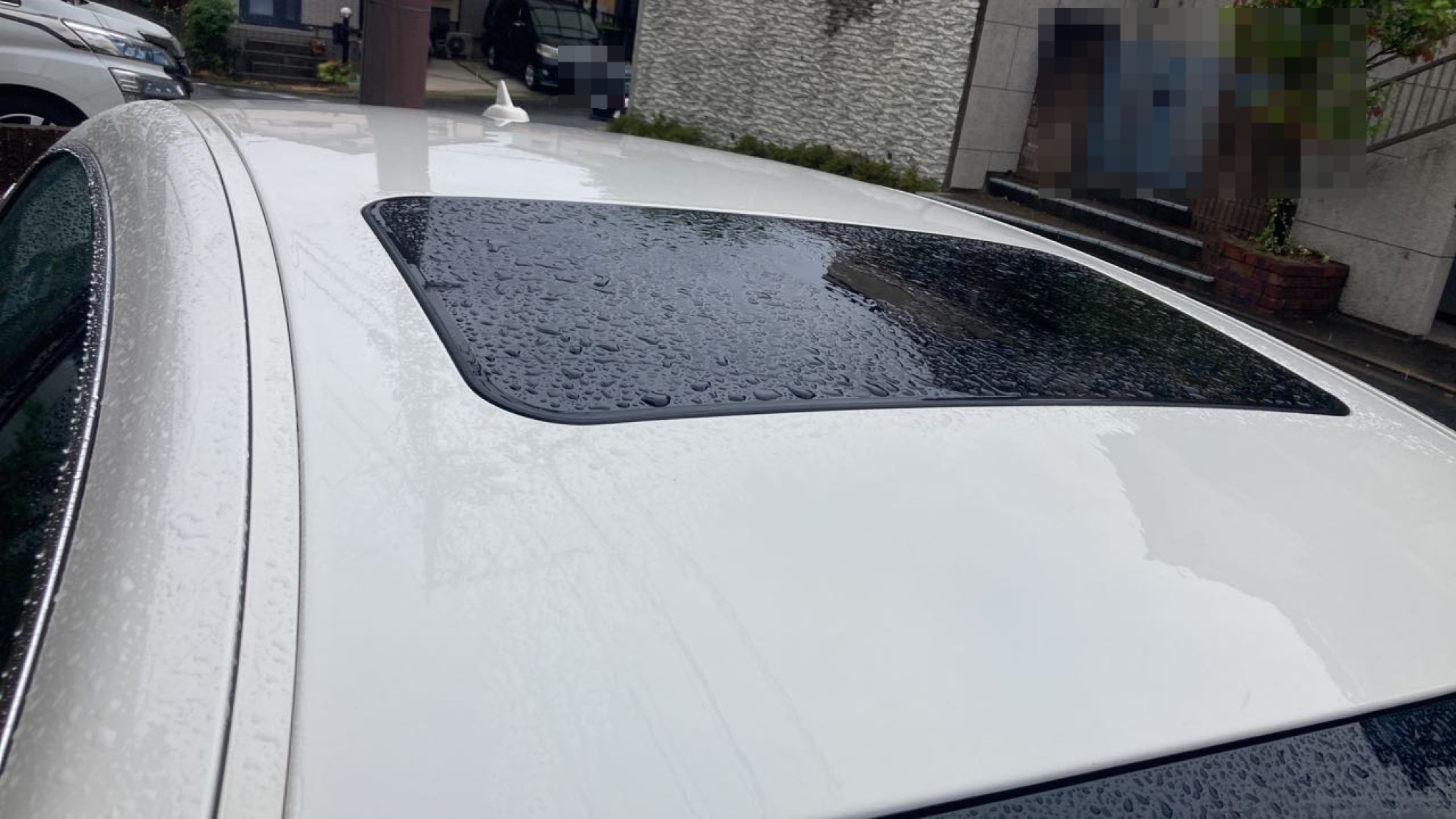 正面ルーフ