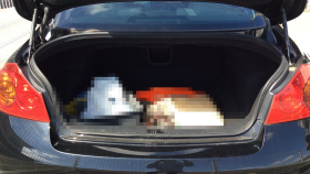 内装トランク