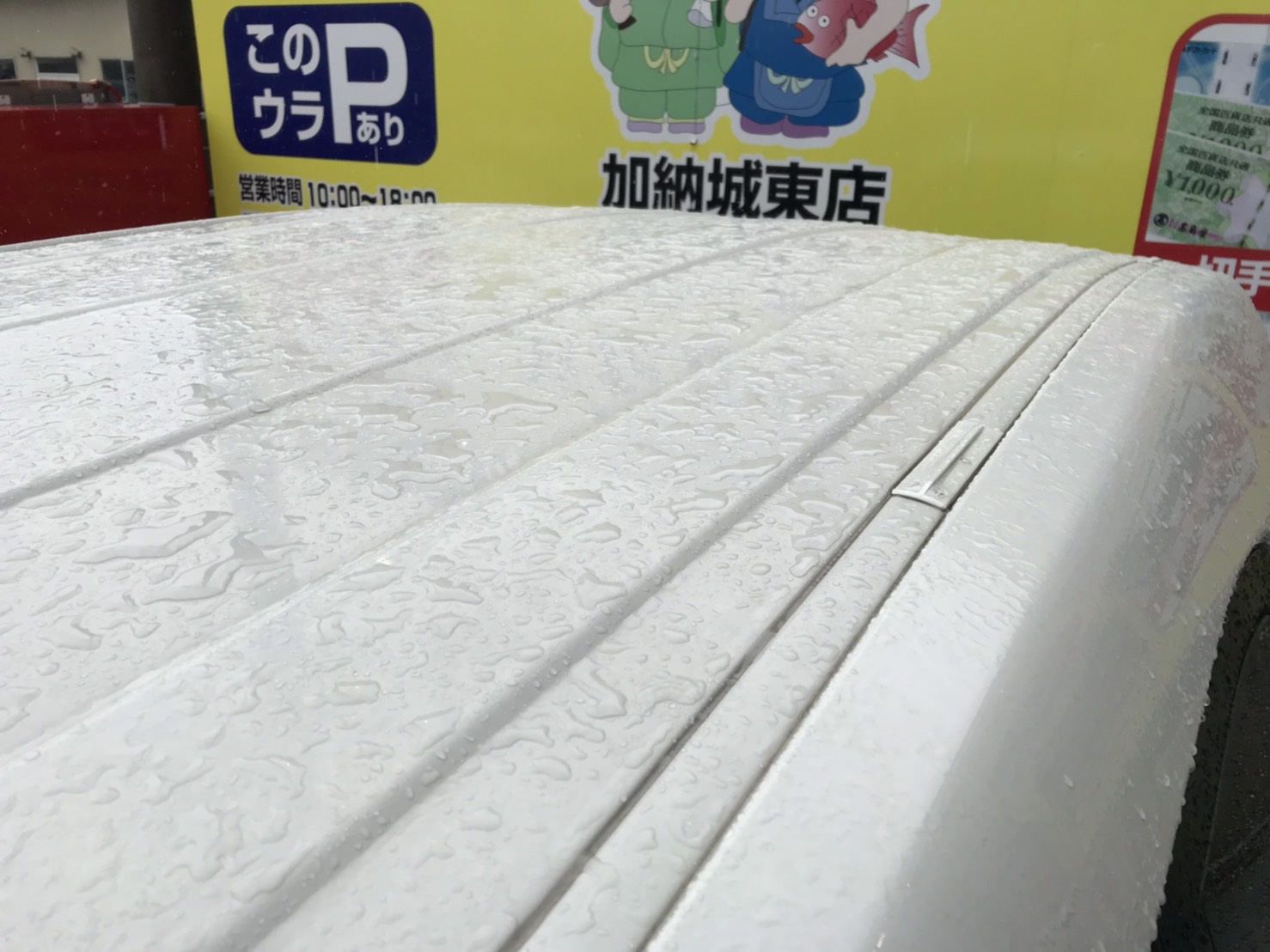 正面ルーフ