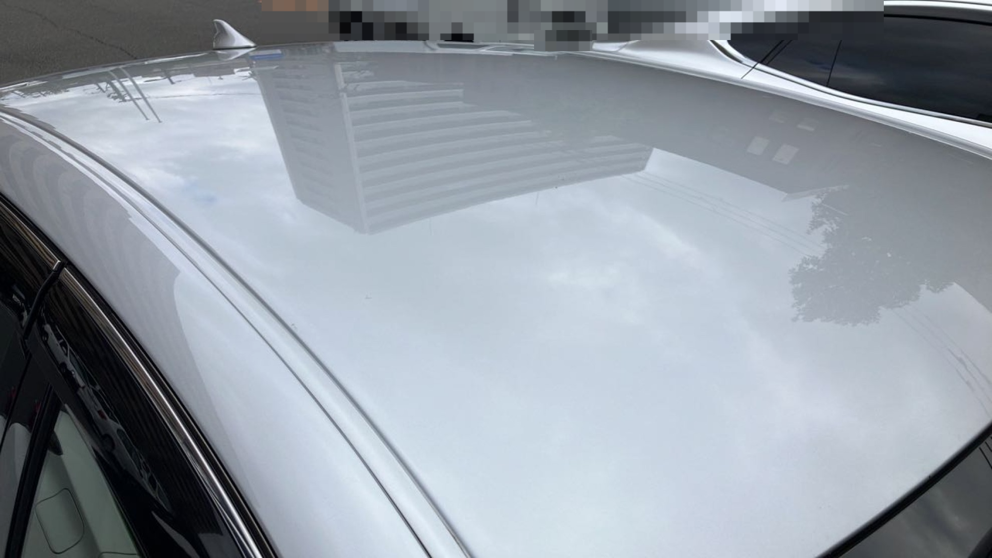 正面ルーフ