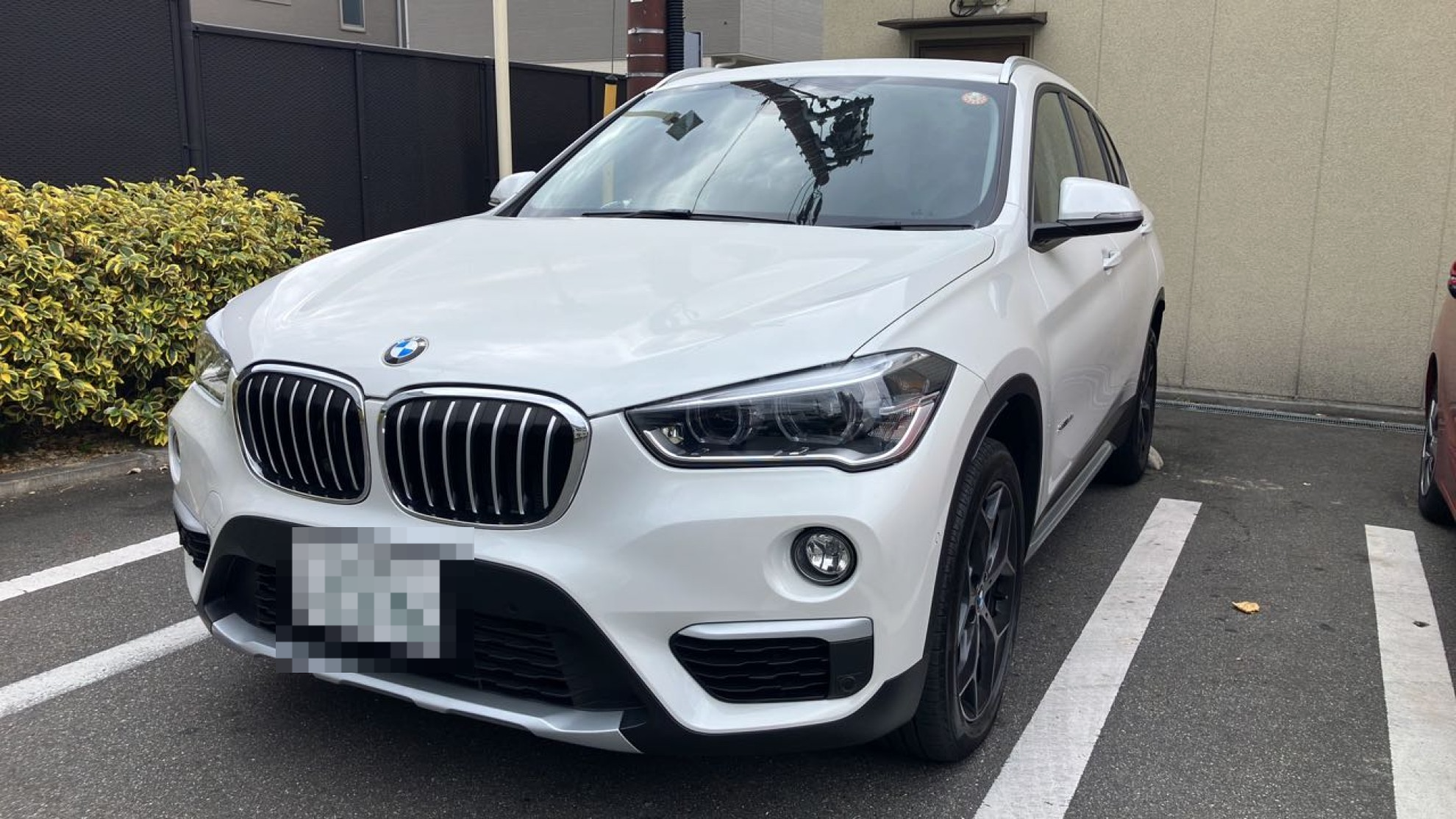 ＢＭＷ Ｘ１の売買実績画像