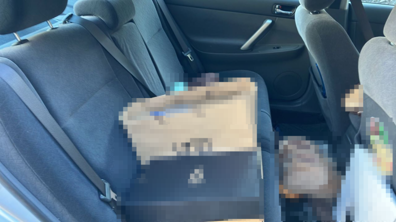 内装後方シート