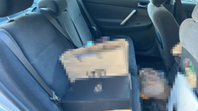 内装後方シート