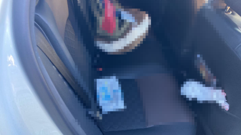 内装後方シート