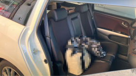 内装後方シート